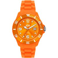 Watch Ice Watch Ice Forever in Polycarbonate SI.OE.S.S.09